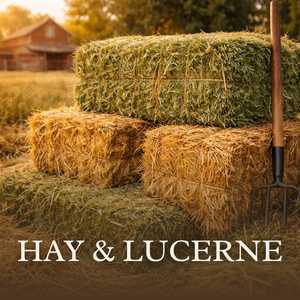 Hay & Lucerne